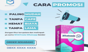 Whatnesia Software Kirim WA Massal